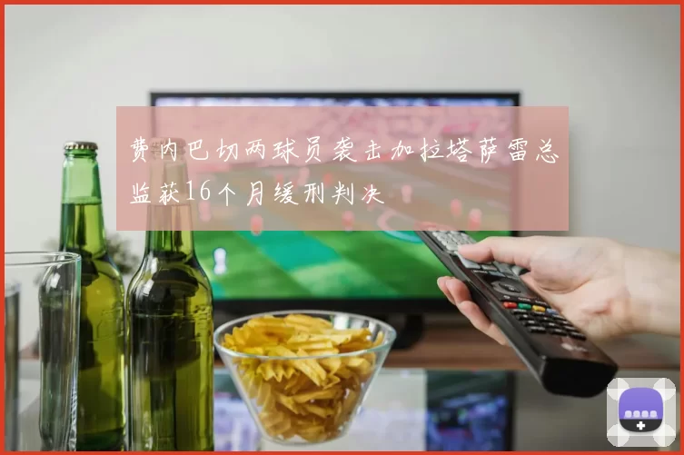 费内巴切两球员袭击加拉塔萨雷总监获16个月缓刑判决