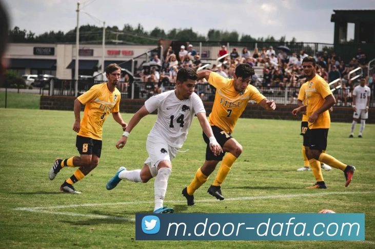 App Interface Preview